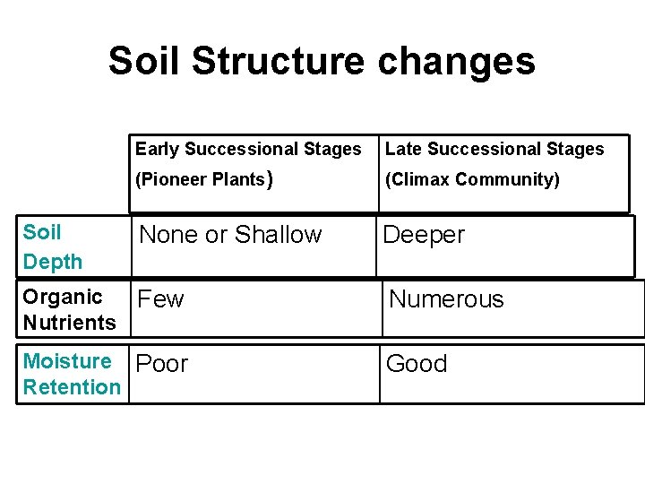 Soil Structure changes Soil Depth Early Successional Stages Late Successional Stages (Pioneer Plants) (Climax