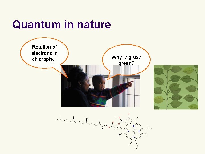 Quantum in nature Rotation of electrons in chlorophyll Why is grass green? Quantum in nature Rotation of electrons in chlorophyll Why is grass green?