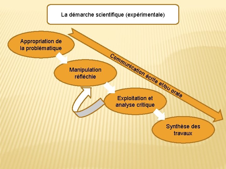 La démarche scientifique (expérimentale) Appropriation de la problématique Co mm Manipulation réfléchie un ica