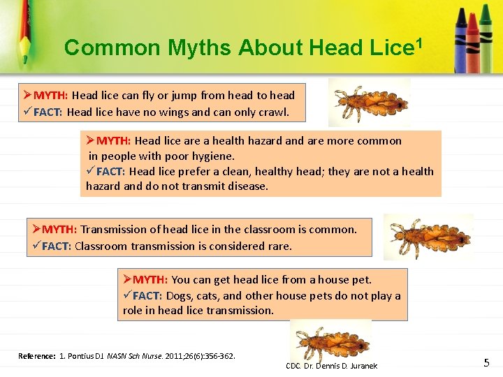 Common Myths About Head Lice 1 ØMYTH: Head lice can fly or jump from