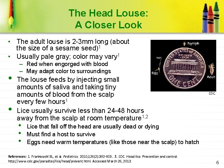 The Head Louse: A Closer Look • The adult louse is 2 -3 mm