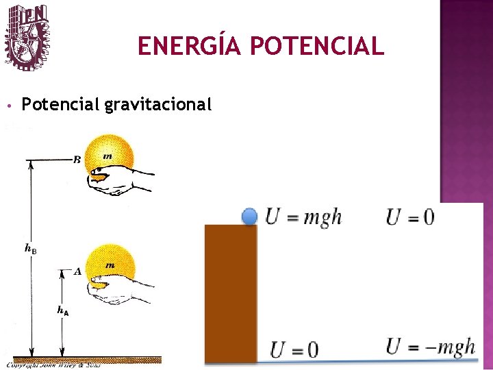 ENERGÍA POTENCIAL • Potencial gravitacional 