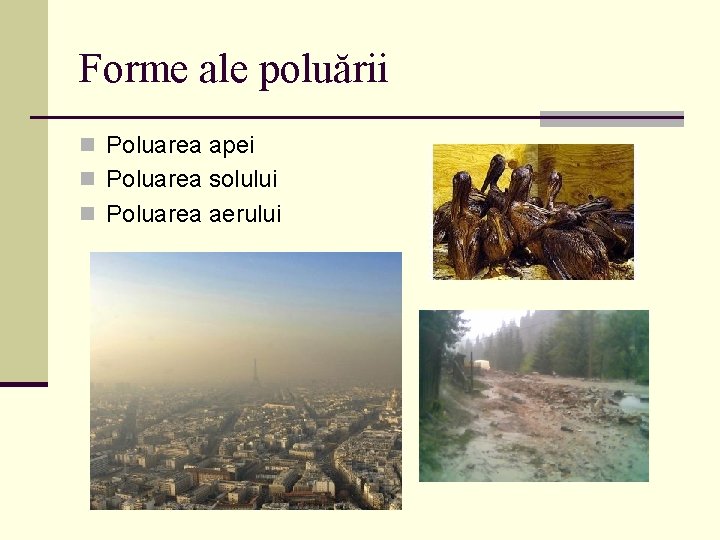 Forme ale poluării n Poluarea apei n Poluarea solului n Poluarea aerului 