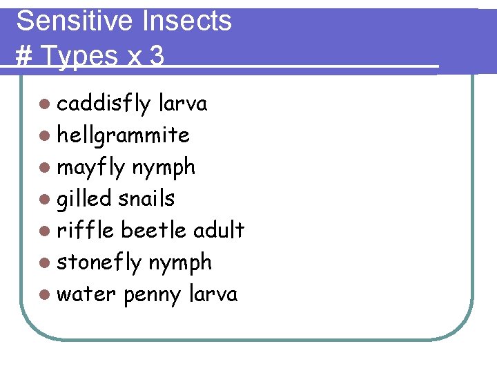 Sensitive Insects # Types x 3 l caddisfly larva l hellgrammite l mayfly nymph