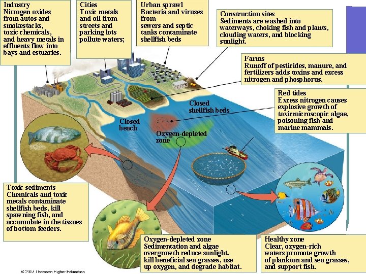 Industry Nitrogen oxides from autos and smokestacks, toxic chemicals, and heavy metals in effluents