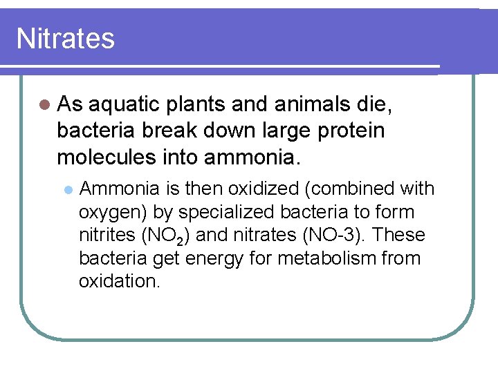 Nitrates l As aquatic plants and animals die, bacteria break down large protein molecules