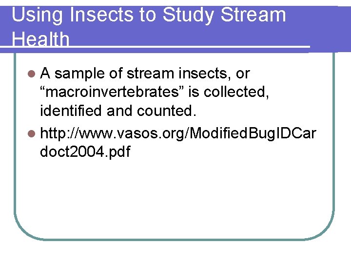 Using Insects to Study Stream Health l. A sample of stream insects, or “macroinvertebrates”