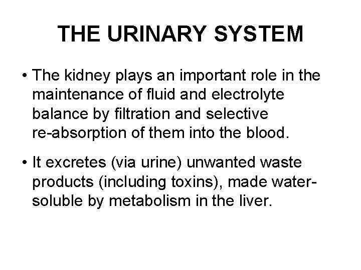 THE URINARY SYSTEM • The kidney plays an important role in the maintenance of