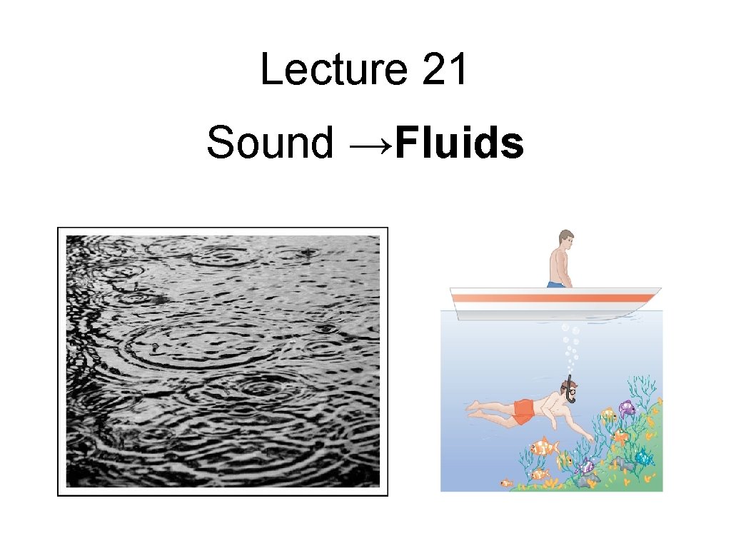 Lecture 21 Sound →Fluids Lecture 21 Sound →Fluids