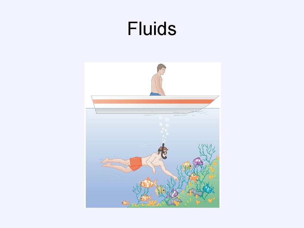 Fluids Fluids