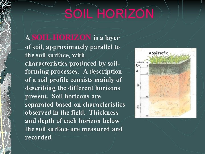 SOIL HORIZON A SOIL HORIZON is a layer of soil, approximately parallel to the