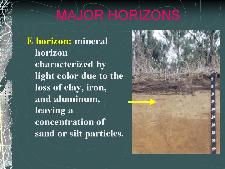 MAJOR HORIZONS E horizon: mineral horizon characterized by light color due to the loss