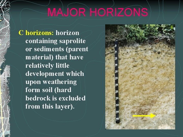 MAJOR HORIZONS C horizons: horizon containing saprolite or sediments (parent material) that have relatively