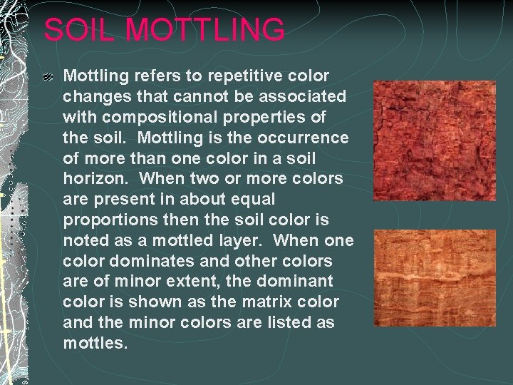 SOIL MOTTLING Mottling refers to repetitive color changes that cannot be associated with compositional