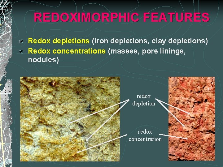 REDOXIMORPHIC FEATURES Redox depletions (iron depletions, clay depletions) Redox concentrations (masses, pore linings, nodules)