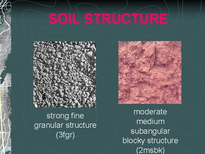 SOIL STRUCTURE strong fine granular structure (3 fgr) moderate medium subangular blocky structure (2