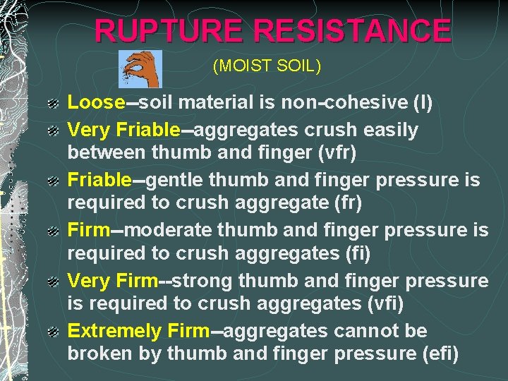 RUPTURE RESISTANCE (MOIST SOIL) Loose--soil material is non-cohesive (l) Very Friable--aggregates crush easily between