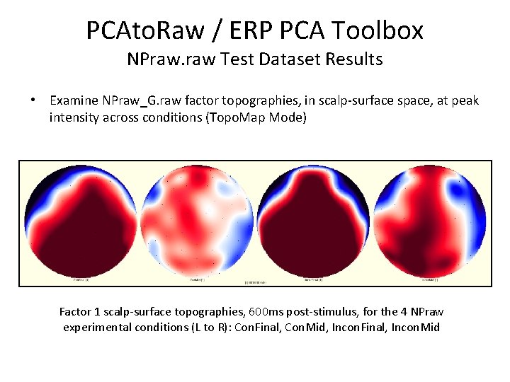 PCAto. Raw / ERP PCA Toolbox NPraw. raw Test Dataset Results • Examine NPraw_G.