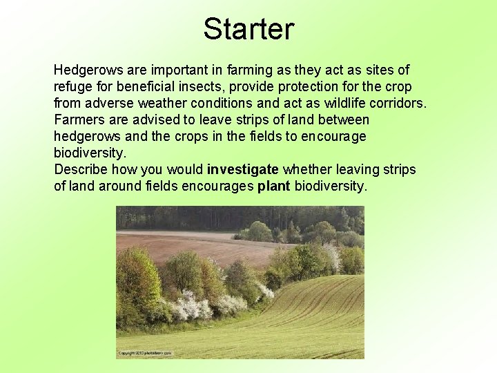 Starter Hedgerows are important in farming as they act as sites of refuge for