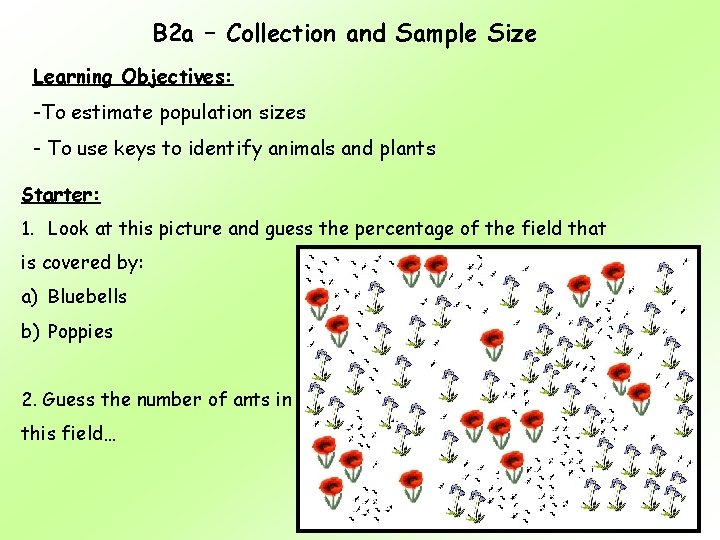 B 2 a – Collection and Sample Size Learning Objectives: -To estimate population sizes