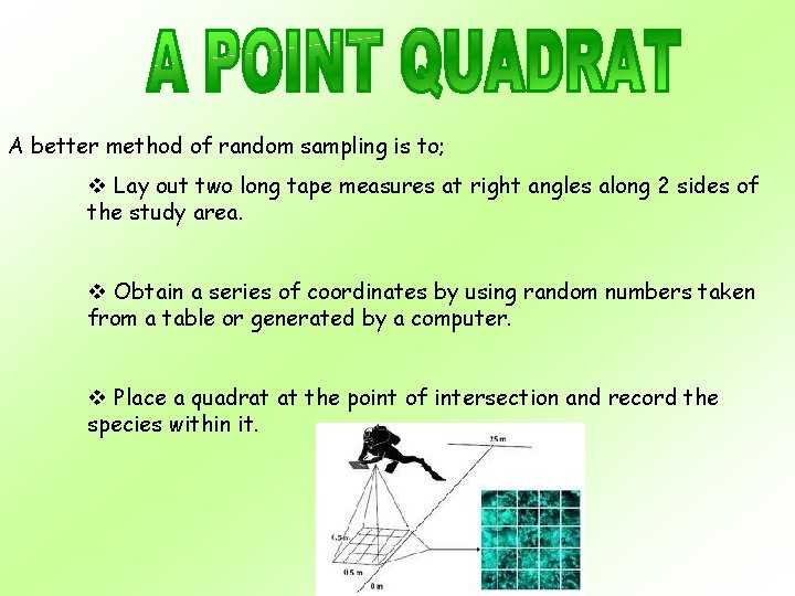 A better method of random sampling is to; v Lay out two long tape