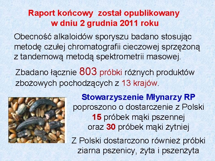 Raport końcowy został opublikowany w dniu 2 grudnia 2011 roku Obecność alkaloidów sporyszu badano