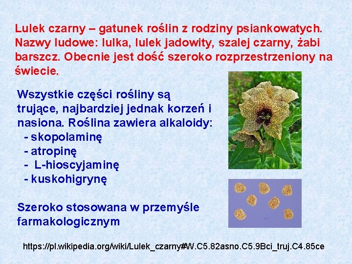 Lulek czarny – gatunek roślin z rodziny psiankowatych. Nazwy ludowe: lulka, lulek jadowity, szalej