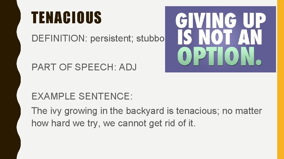 TENACIOUS DEFINITION: persistent; stubborn PART OF SPEECH: ADJ EXAMPLE SENTENCE: The ivy growing in