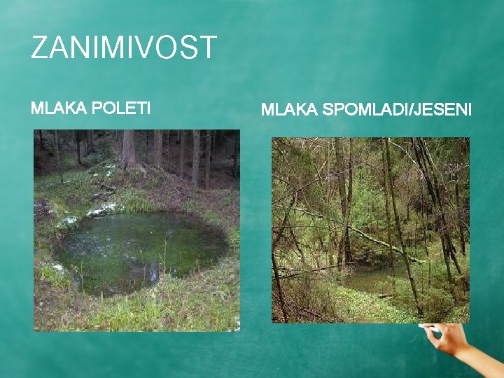 ZANIMIVOST MLAKA POLETI MLAKA SPOMLADI/JESENI 