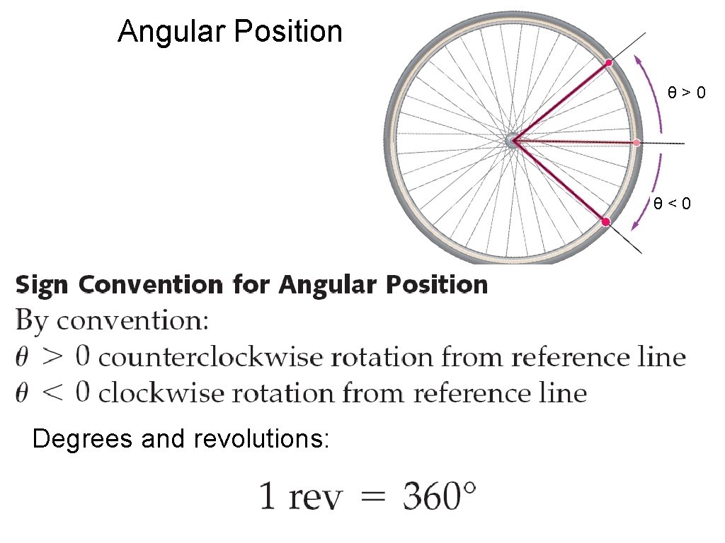 Angular Position θ>0 θ<0 Degrees and revolutions: 