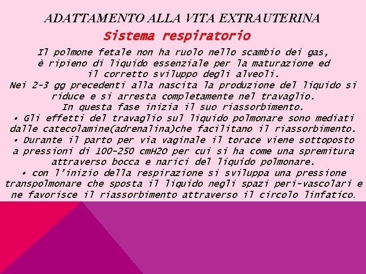 ADATTAMENTO ALLA VITA EXTRAUTERINA Sistema respiratorio Il polmone fetale non ha ruolo nello scambio