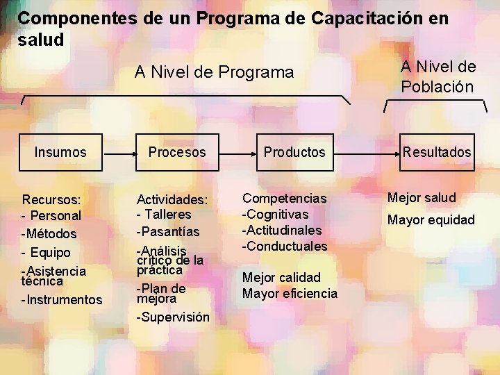 Componentes de un Programa de Capacitación en salud A Nivel de Programa Insumos Procesos