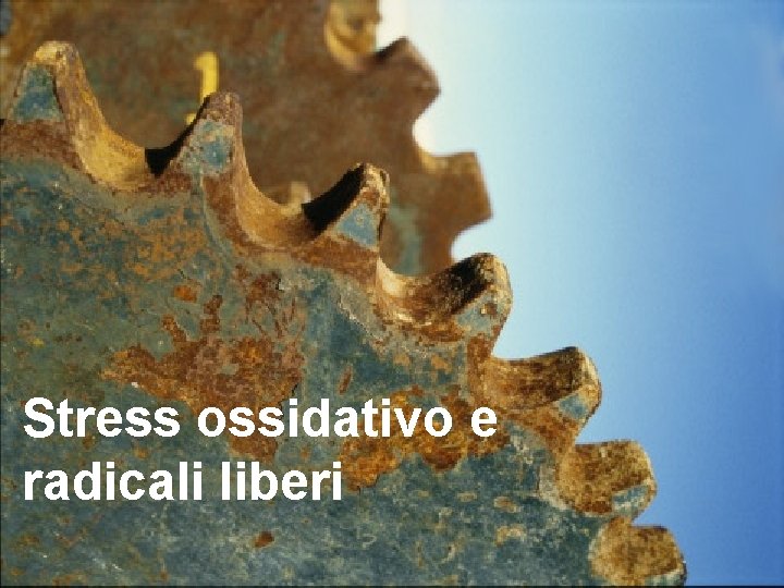 Stress ossidativo e radicali liberi 