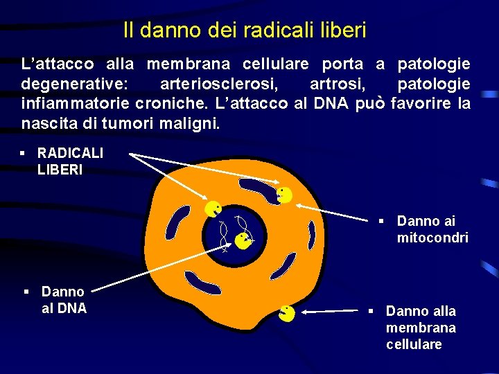 Il danno dei radicali liberi L’attacco alla membrana cellulare porta a patologie degenerative: arteriosclerosi,