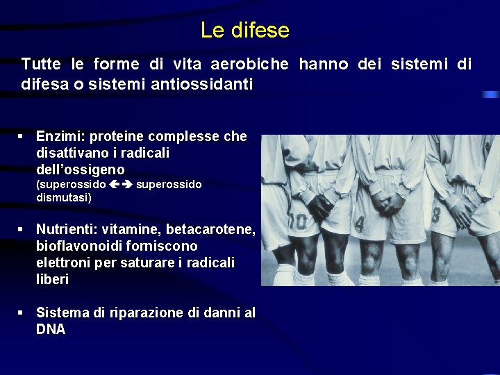 Le difese Tutte le forme di vita aerobiche hanno dei sistemi di difesa o