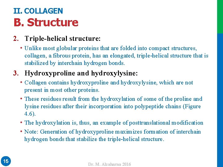 II. COLLAGEN B. Structure 2. Triple-helical structure: • Unlike most globular proteins that are