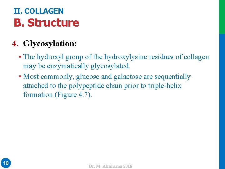 II. COLLAGEN B. Structure 4. Glycosylation: Dr. M. Alzaharna 2016 • The hydroxyl group