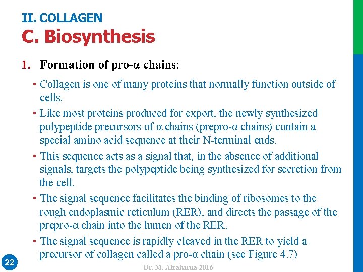 II. COLLAGEN C. Biosynthesis 22 • Collagen is one of many proteins that normally