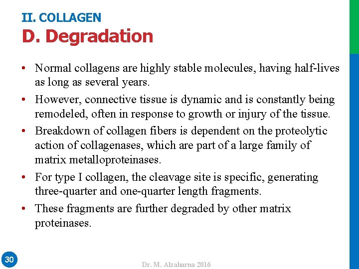 II. COLLAGEN • Normal collagens are highly stable molecules, having half-lives as long as