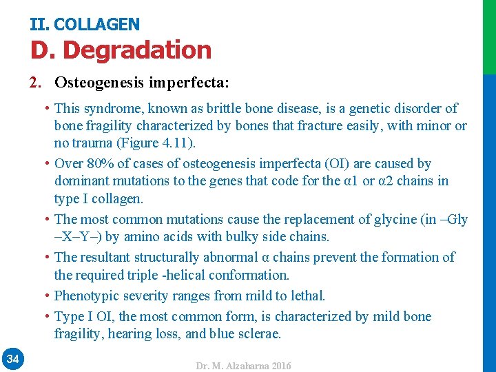 II. COLLAGEN D. Degradation • This syndrome, known as brittle bone disease, is a