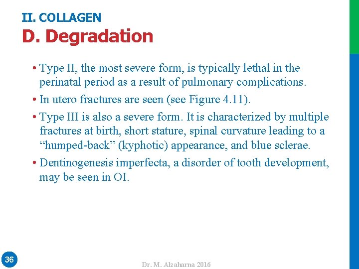 II. COLLAGEN • Type II, the most severe form, is typically lethal in the