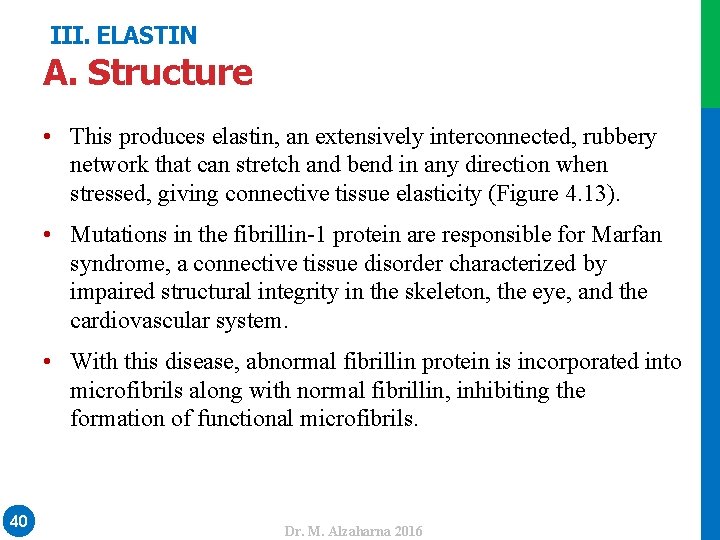 III. ELASTIN A. Structure • This produces elastin, an extensively interconnected, rubbery network that