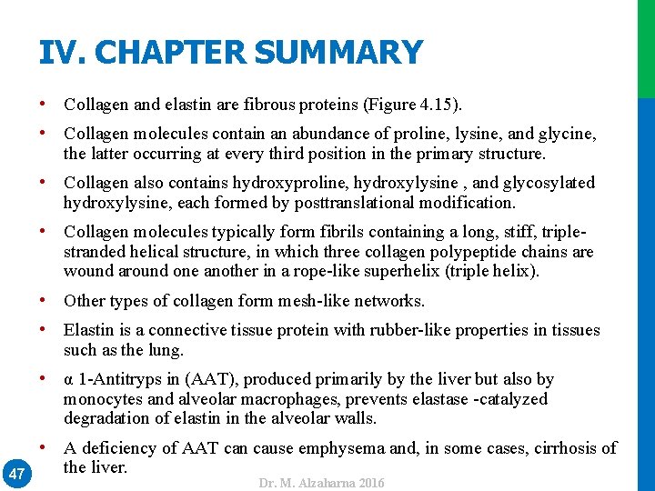 IV. CHAPTER SUMMARY • Collagen and elastin are fibrous proteins (Figure 4. 15). •