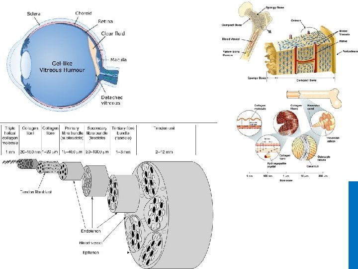 Dr. M. Alzaharna 2016 6 Dr. M. Alzaharna 2016 