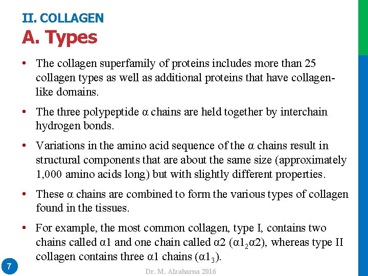 II. COLLAGEN A. Types • The collagen superfamily of proteins includes more than 25