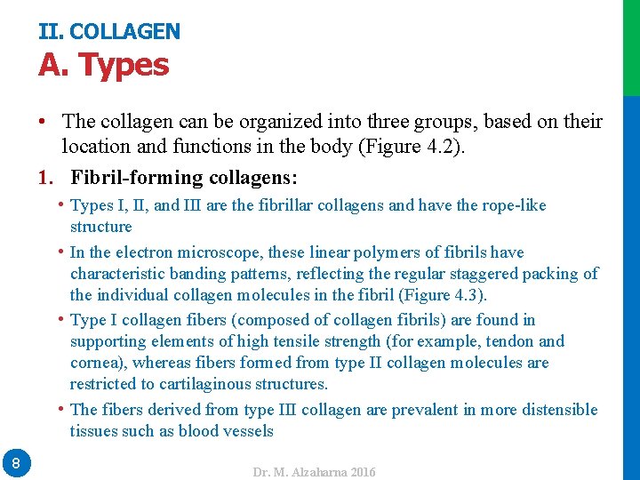 II. COLLAGEN A. Types • Types I, II, and III are the fibrillar collagens