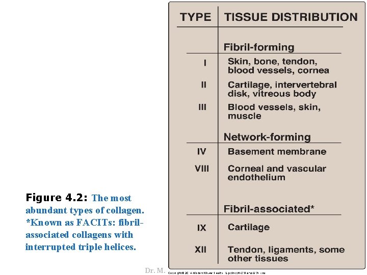 Dr. M. Alzaharna 2016 Figure 4. 2: The most abundant types of collagen. *Known