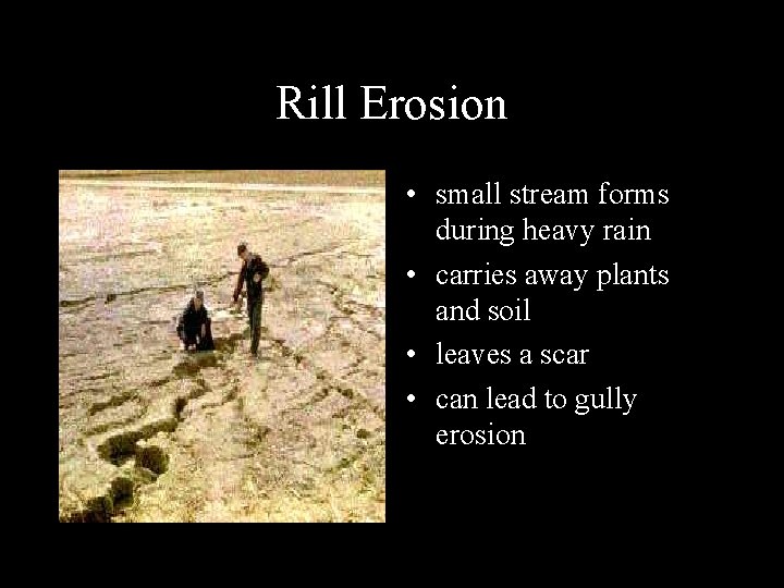 Rill Erosion • small stream forms during heavy rain • carries away plants and