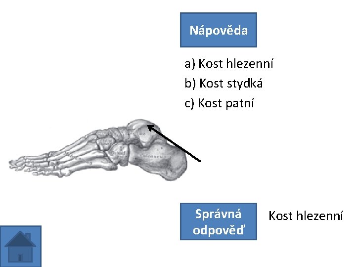 Nápověda a) Kost hlezenní b) Kost stydká c) Kost patní Správná odpověď Kost hlezenní