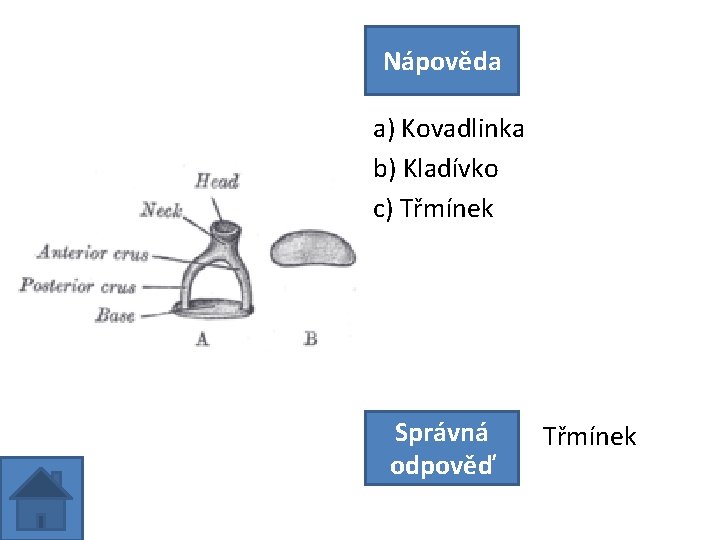 Nápověda a) Kovadlinka b) Kladívko c) Třmínek Správná odpověď Třmínek 